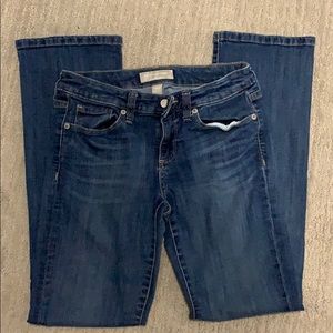Banana Republic Slim Bootcut Jeans size 2